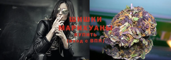 молекула духа Козельск