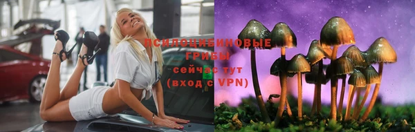 ПСИЛОЦИБИНОВЫЕ ГРИБЫ Мегион