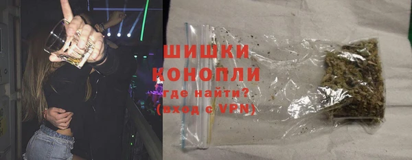 молекула духа Козельск