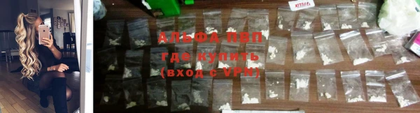 молекула духа Козельск