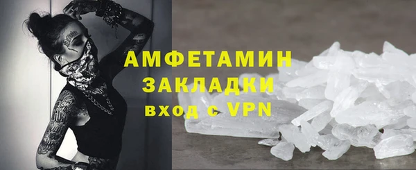 молекула духа Козельск
