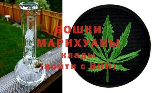 молекула духа Козельск