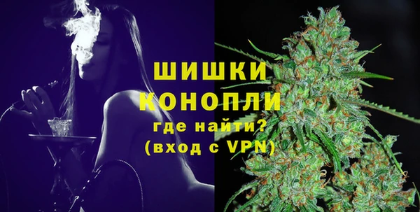 молекула духа Козельск