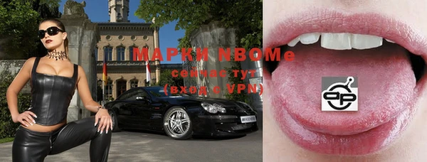 молекула духа Козельск